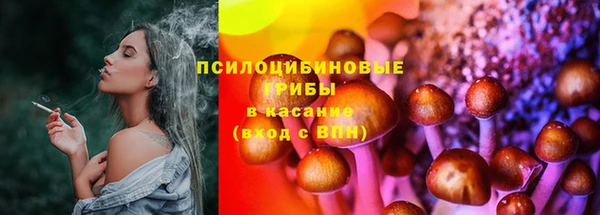 таблы Козельск