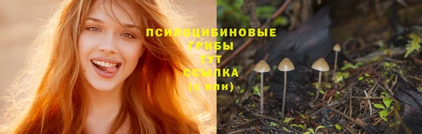 jwh Абинск