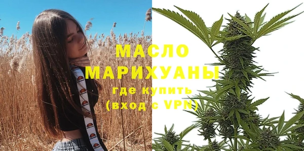тгк Абаза