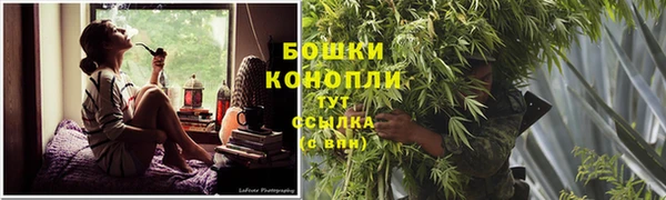 гидропоника Кодинск