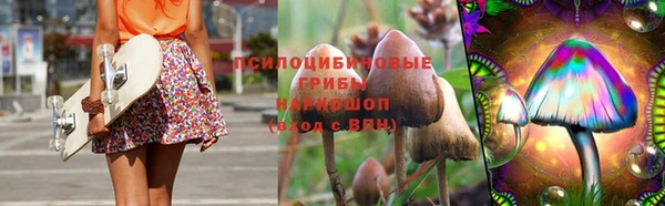 гидропоника Кодинск