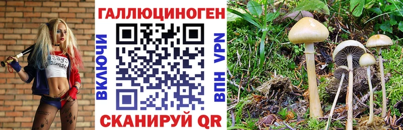 Галлюциногенные грибы GOLDEN TEACHER Таганрог